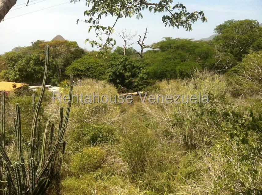 Terreno (Comercial) en Venta en Sector El Portete, Aragua - 8