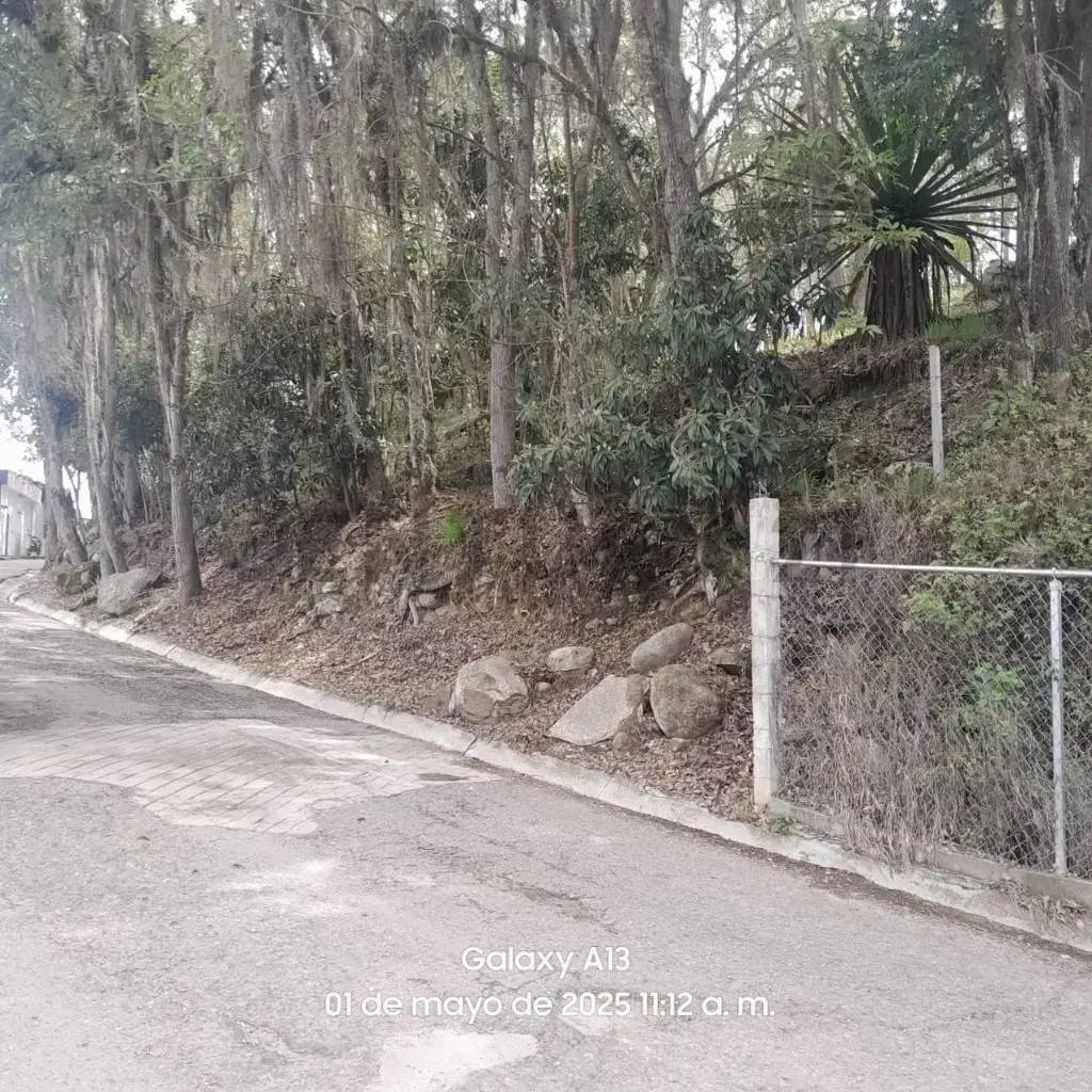 Venta Terreno La Grita La Meseta - 4