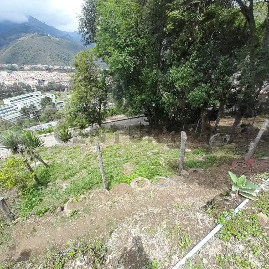 Venta Terreno La Grita La Meseta - 5