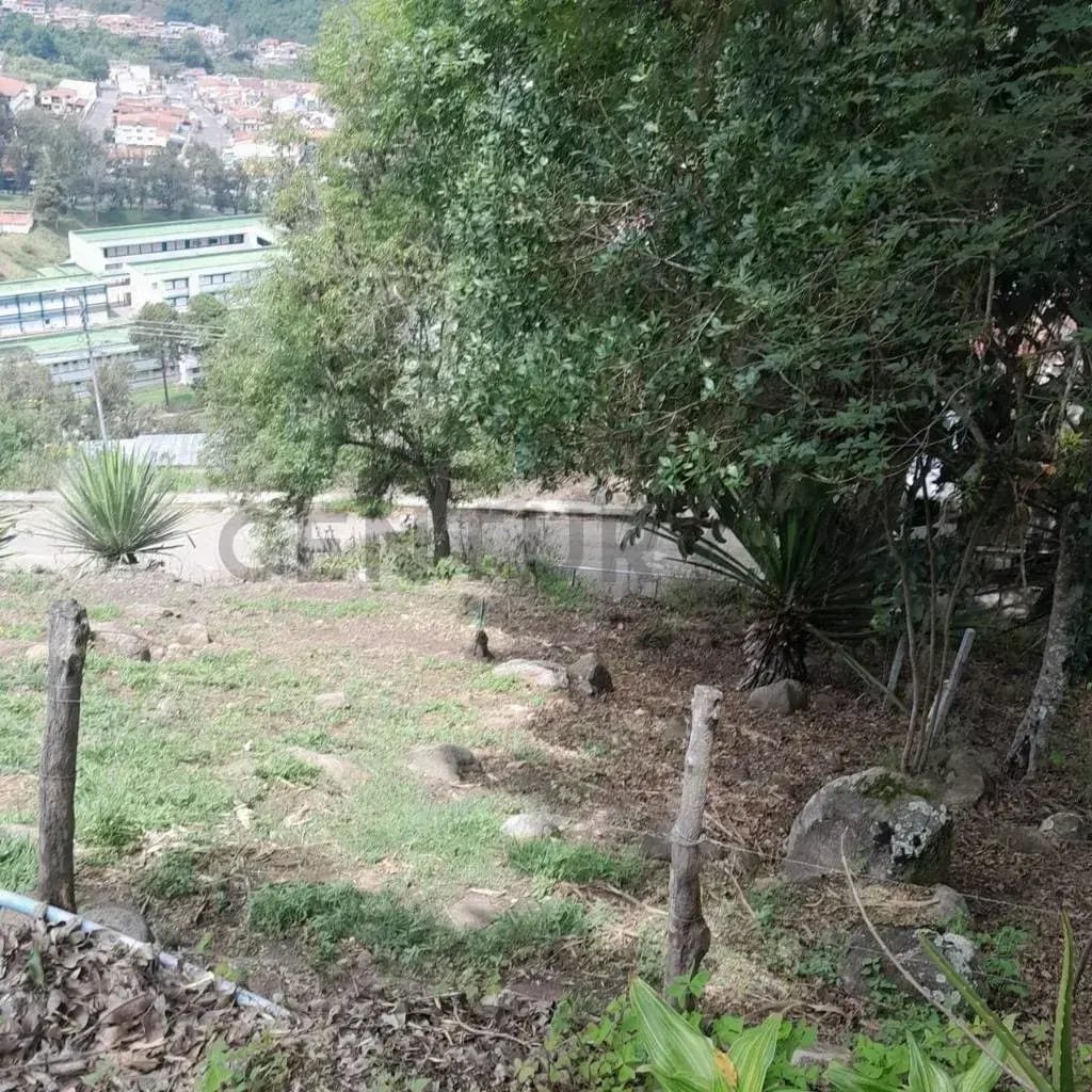 Venta Terreno La Grita La Meseta - 7