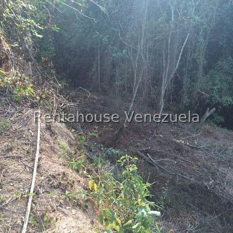 Terreno (Residencial) en Venta en El Hatillo, Distrito Metropolitano - 3