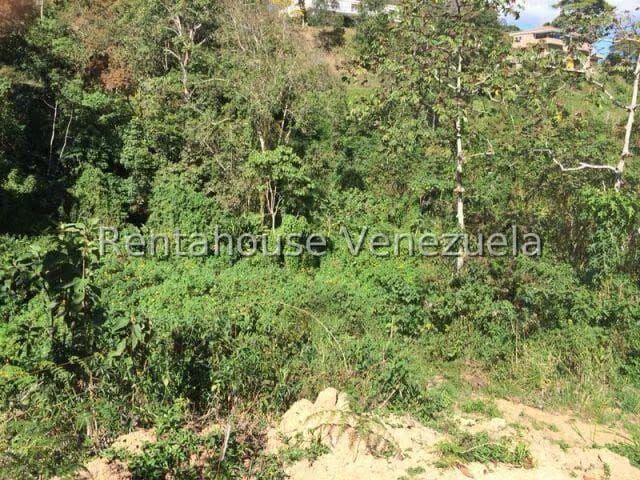 Terreno (Residencial) en Venta en El Hatillo, Distrito Metropolitano - 7