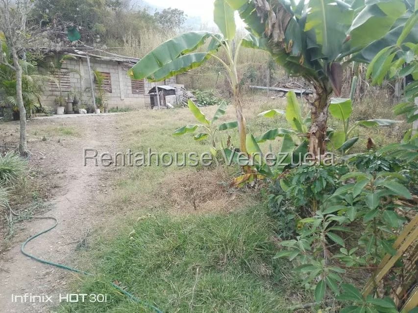 Terreno (Residencial) en Venta en La Playa, Merida - 14