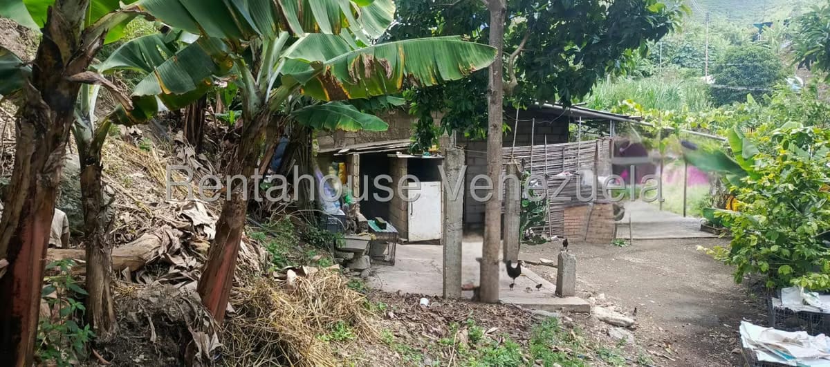 Terreno (Residencial) en Venta en La Playa, Merida - 18