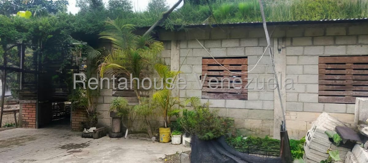 Terreno (Residencial) en Venta en La Playa, Merida - 20