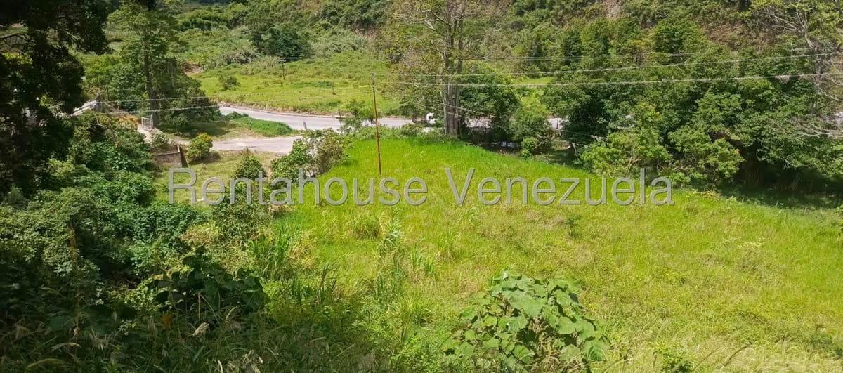 Terreno (Residencial) en Venta en La Playa, Merida - 22