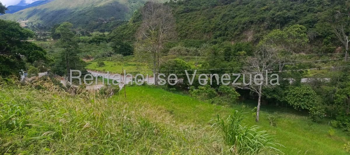 Terreno (Residencial) en Venta en La Playa, Merida - 27