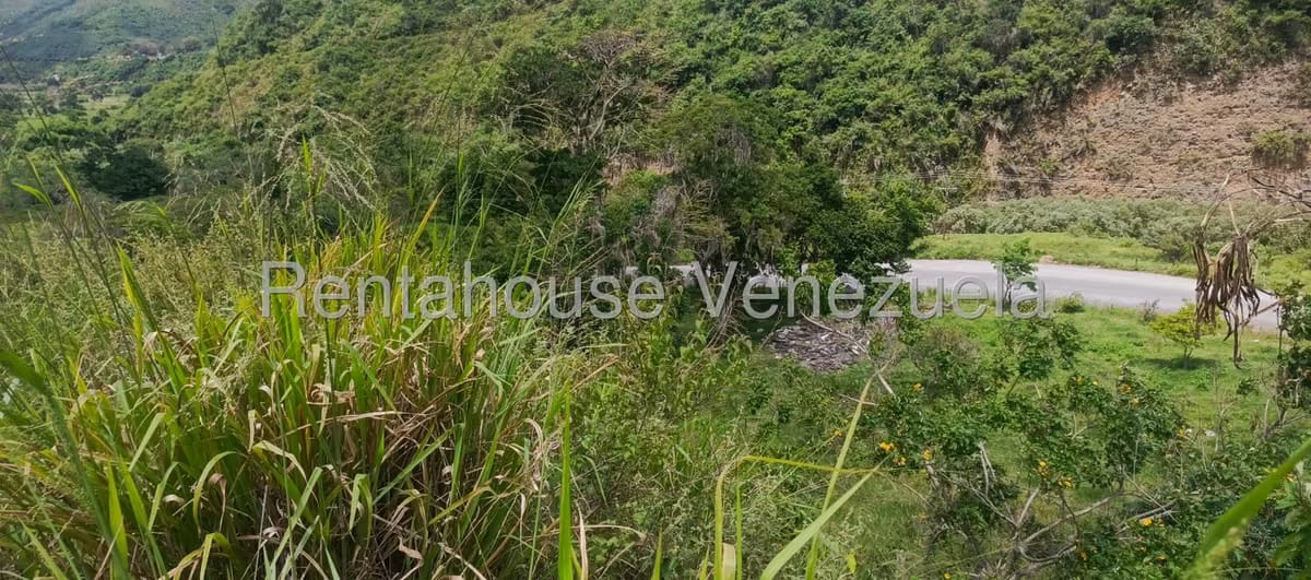 Terreno (Residencial) en Venta en La Playa, Merida - 28
