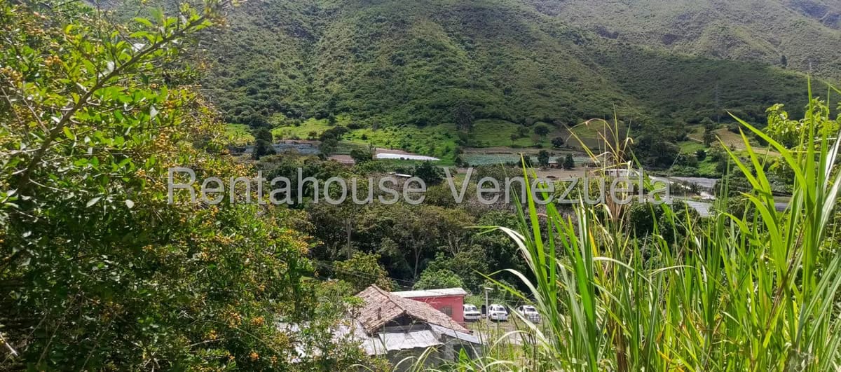 Terreno (Residencial) en Venta en La Playa, Merida - 30