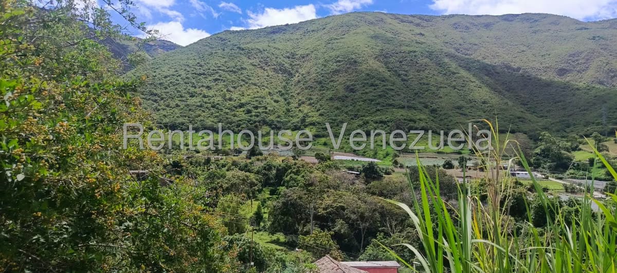 Terreno (Residencial) en Venta en La Playa, Merida - 31