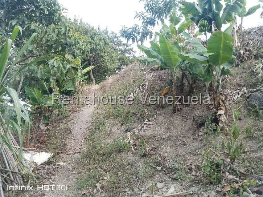 Terreno (Residencial) en Venta en La Playa, Merida - 8