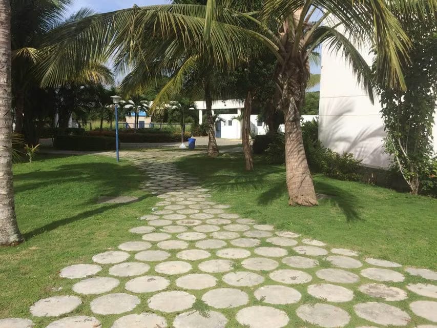 Apartamento (1 Nivel) en Venta en Los Canales de Rio Chico, Miranda - 5