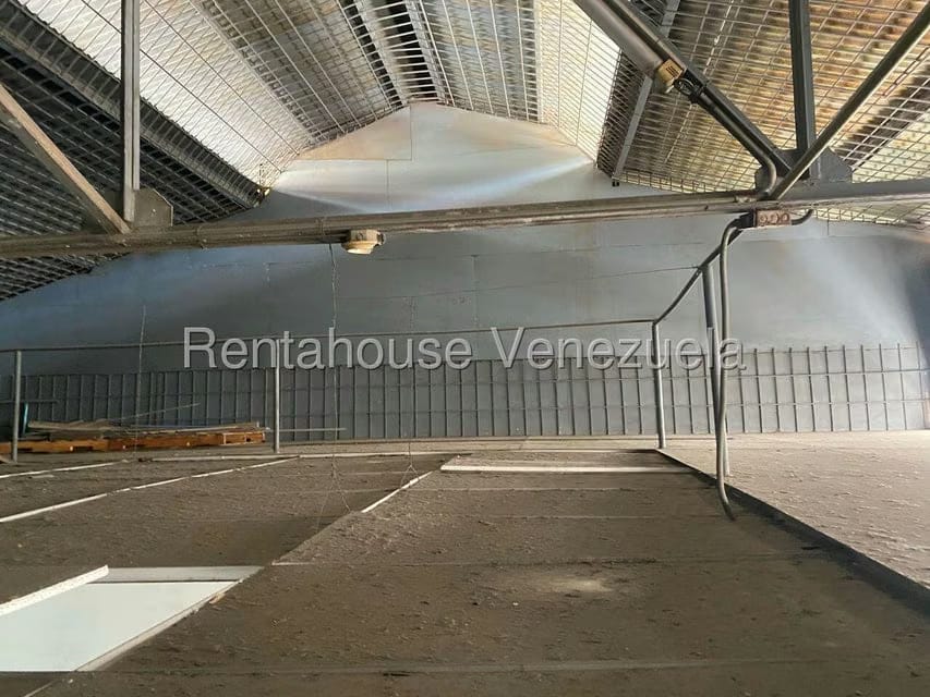 Comercial (Galpon - Deposito) en Venta en El Llanito, Distrito Metropolitano - 3