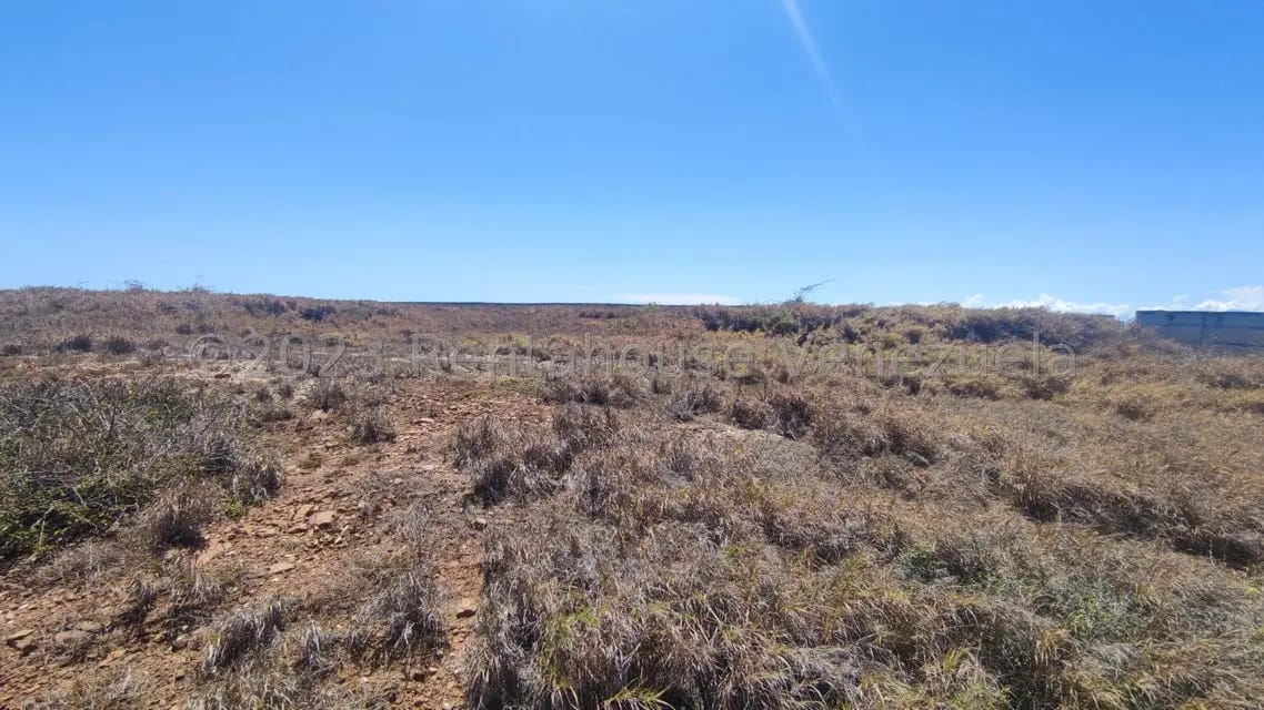 Terreno (Residencial) en Venta en Playa Moreno, Nueva Esparta - 21