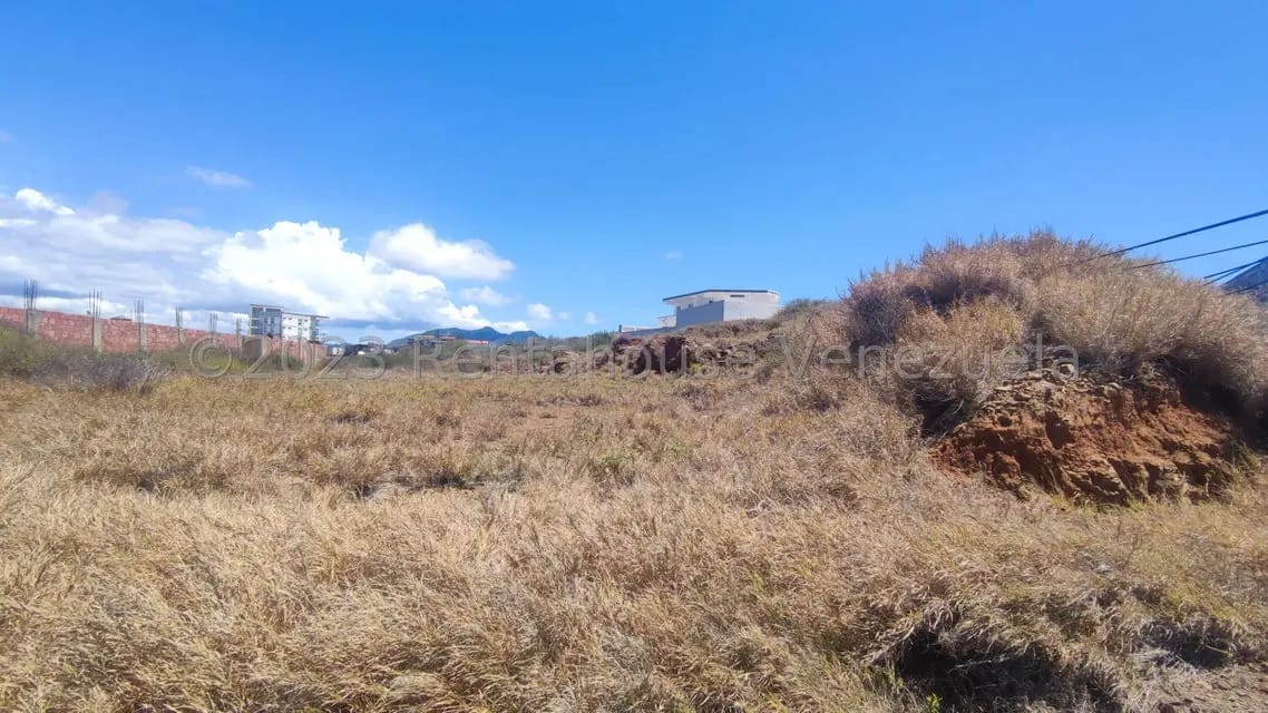 Terreno (Residencial) en Venta en Playa Moreno, Nueva Esparta - 10