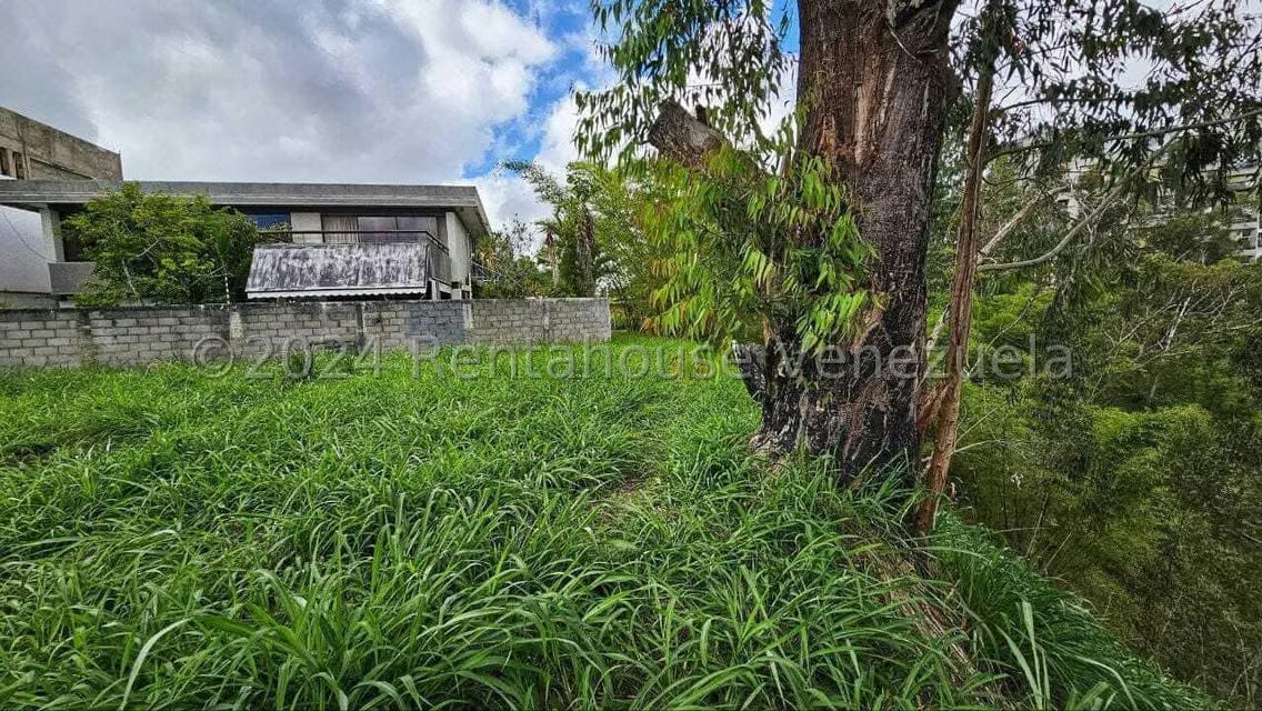 Terreno (Residencial) en Venta en Los Naranjos del Cafetal, Distrito Metropolitano - 6