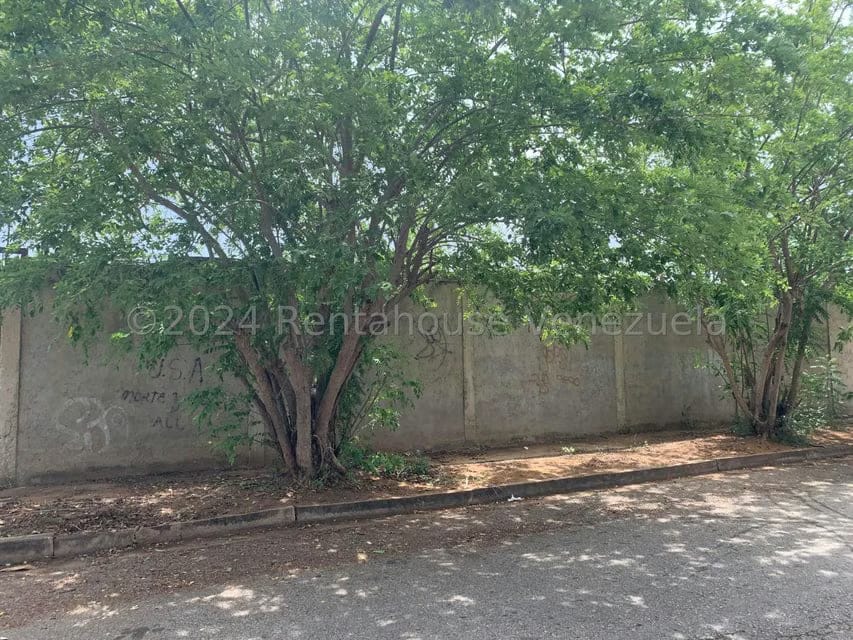 Terreno (Residencial) en Venta en Playa el Angel, Nueva Esparta - 5