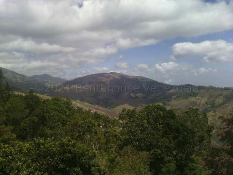 Terreno (Finca) en Venta en El Tibron, Vargas - 2