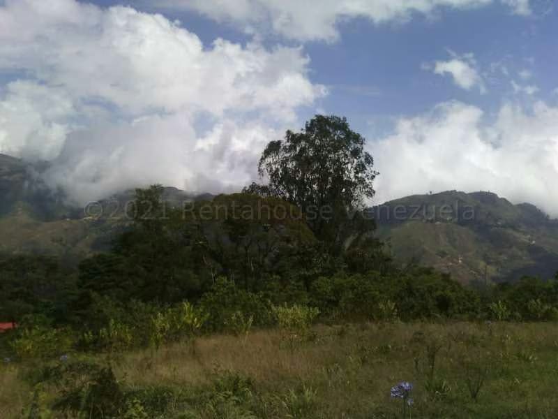 Terreno (Finca) en Venta en El Tibron, Vargas - 12