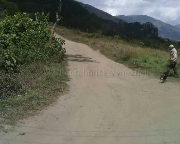 Terreno (Finca) en Venta en El Tibron, Vargas - 14
