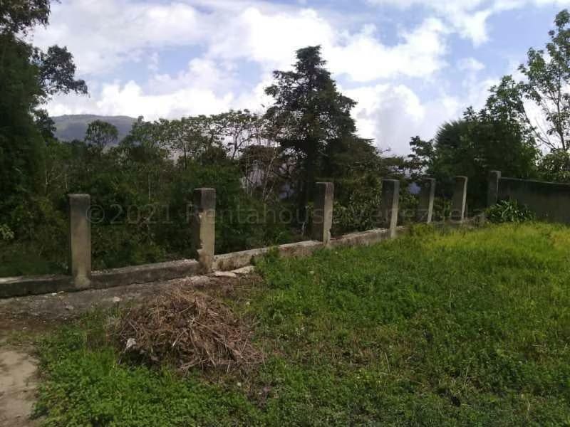 Terreno (Finca) en Venta en El Tibron, Vargas - 21