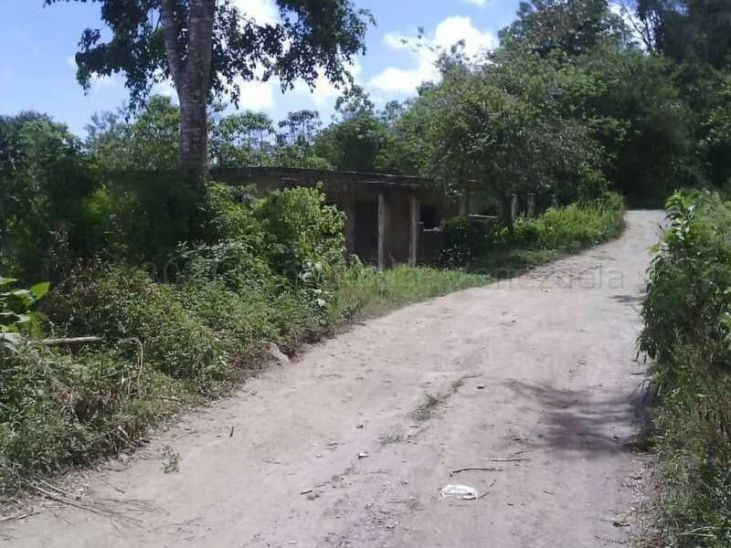 Terreno (Finca) en Venta en El Tibron, Vargas - 4