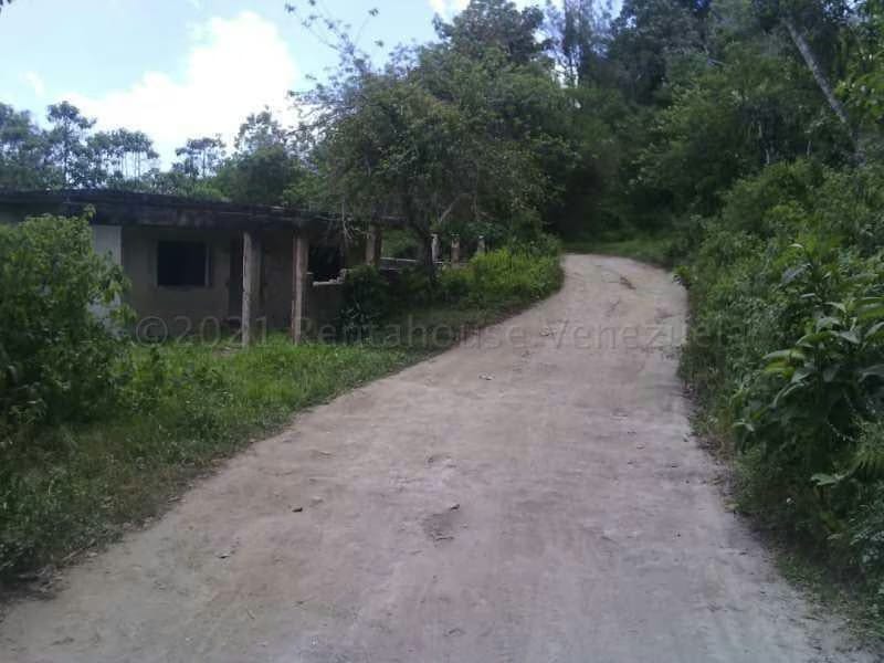 Terreno (Finca) en Venta en El Tibron, Vargas - 5