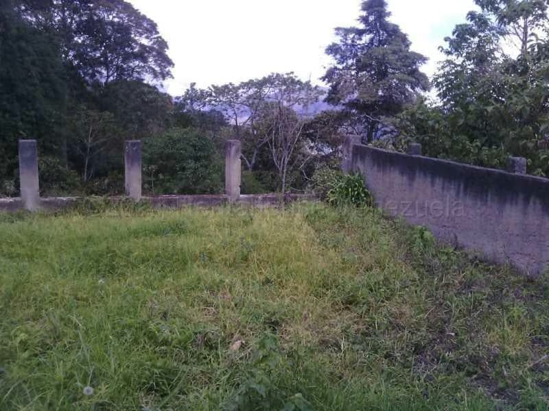 Terreno (Finca) en Venta en El Tibron, Vargas - 7