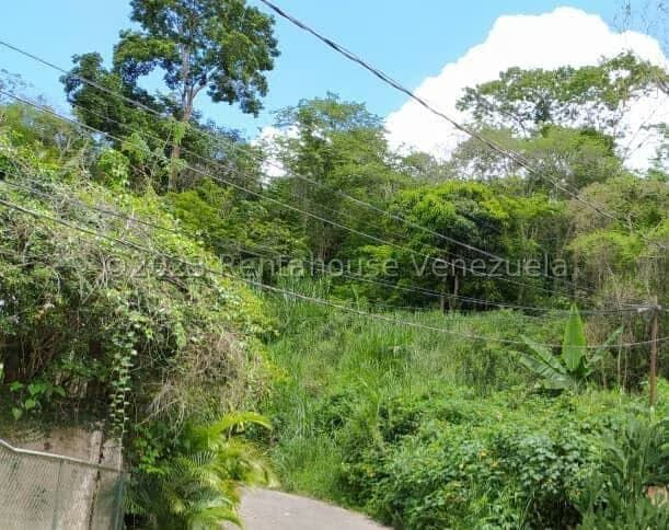 Terreno (Residencial) en Venta en El Hatillo, Distrito Metropolitano - 3