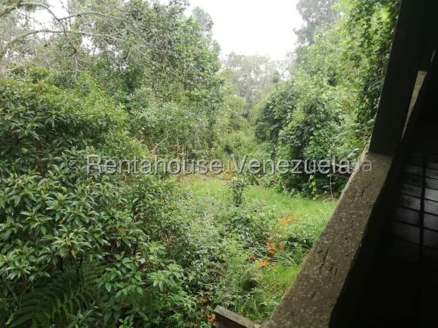 Terreno (Finca) en Venta en La Colonia Tovar, Aragua - 22