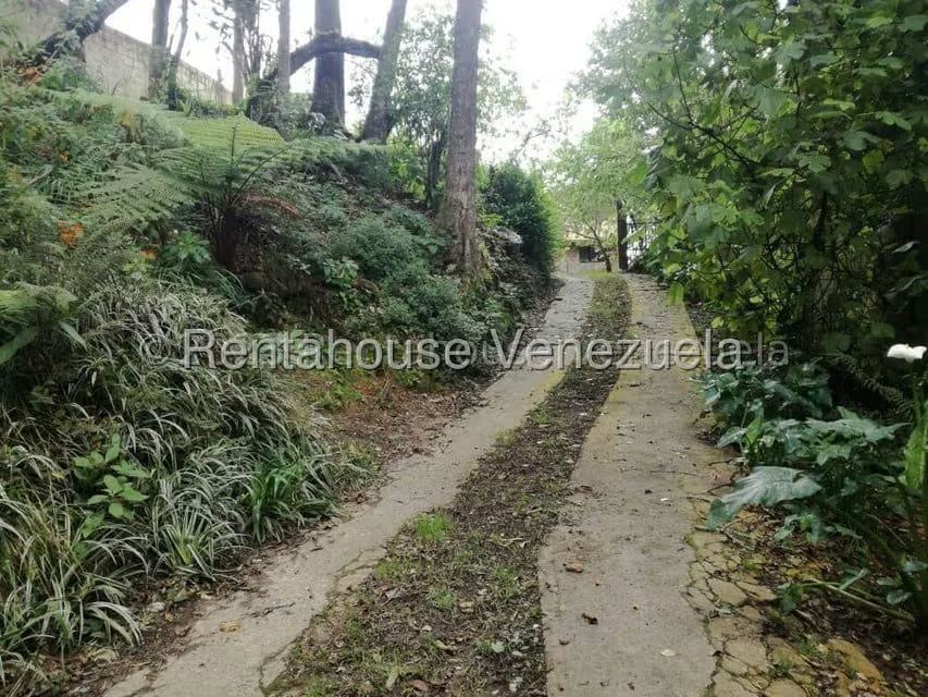 Terreno (Finca) en Venta en La Colonia Tovar, Aragua - 23