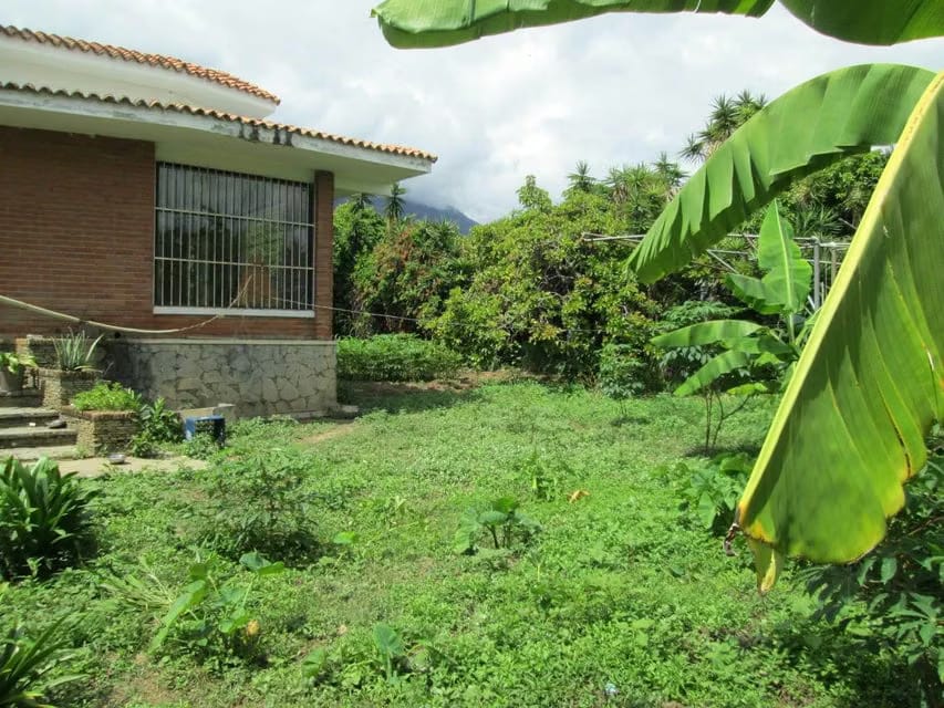 Terreno (Residencial) en Venta en Los Caobos, Distrito Metropolitano - 8