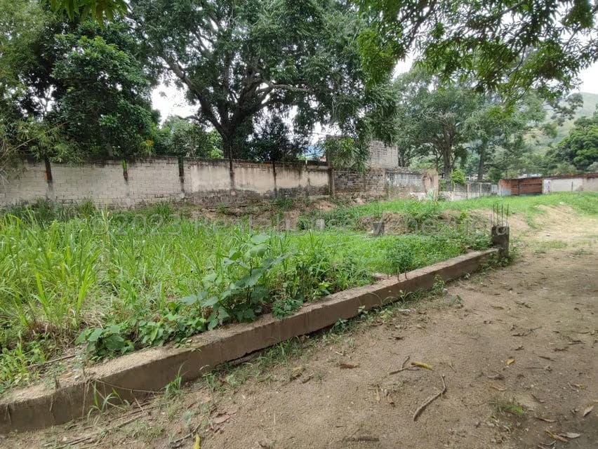 Terreno (Residencial) en Venta en La Entrada, Carabobo - 15