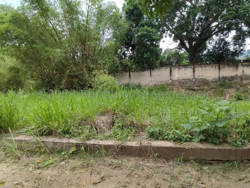 Terreno (Residencial) en Venta en La Entrada, Carabobo - 16