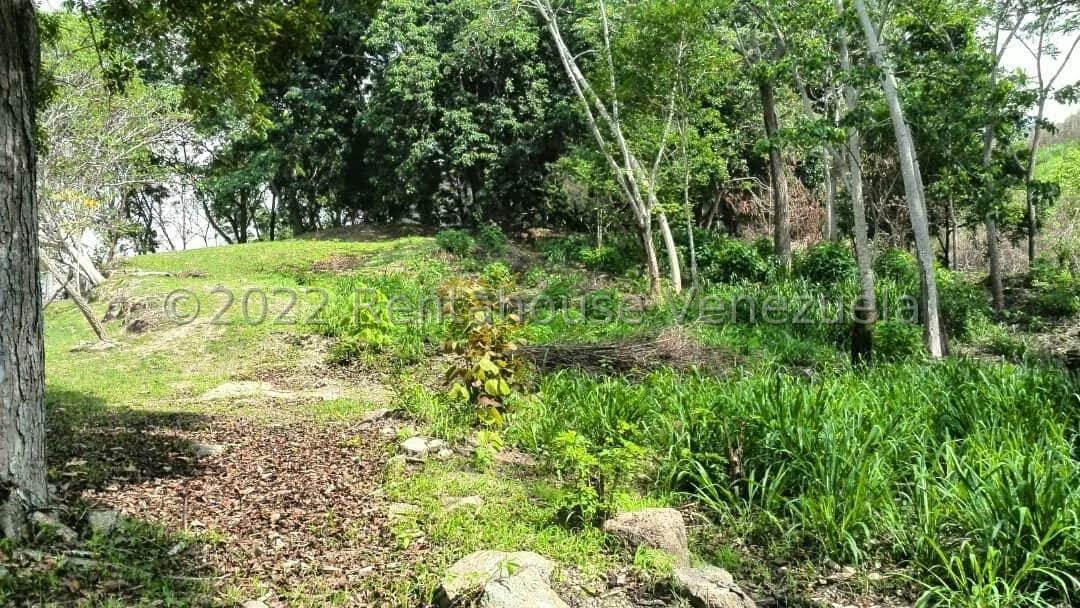 Terreno (Comercial) en Venta en Carialinda, Carabobo - 4