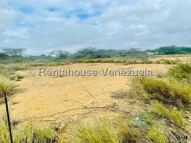 Terreno (Comercial) en Venta en Guanadito, Falcon - 5