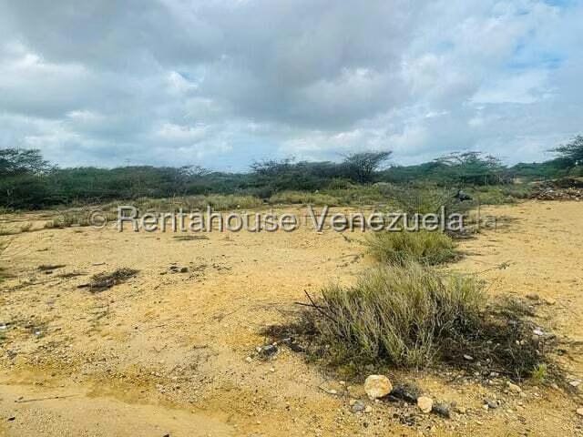 Terreno (Comercial) en Venta en Guanadito, Falcon - 7