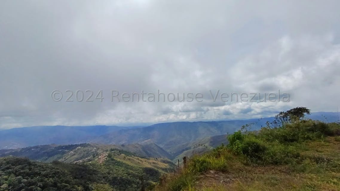 Negocios y Empresas (Tecnologia) en Venta en El Junquito, Distrito Metropolitano - 10