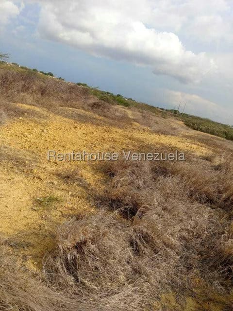 Terreno (Residencial) en Venta en El Cardon, Falcon - 2