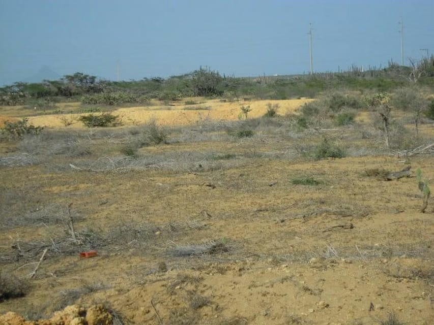 Terreno (Residencial) en Venta en El Cardon, Falcon - 12