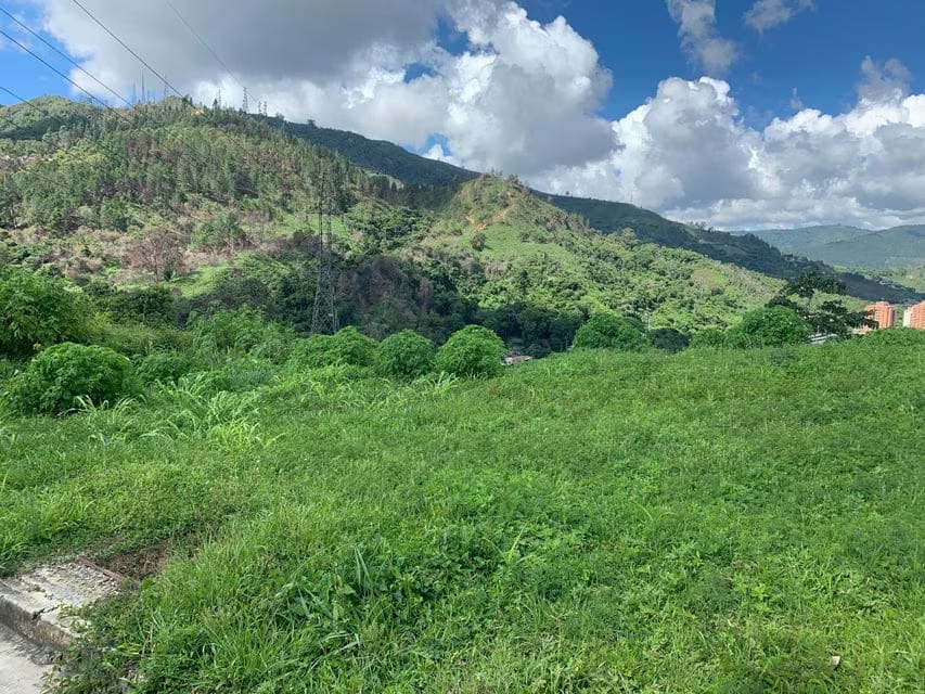 Terreno (Comercial) en Venta en La Escondida, Distrito Metropolitano - 25