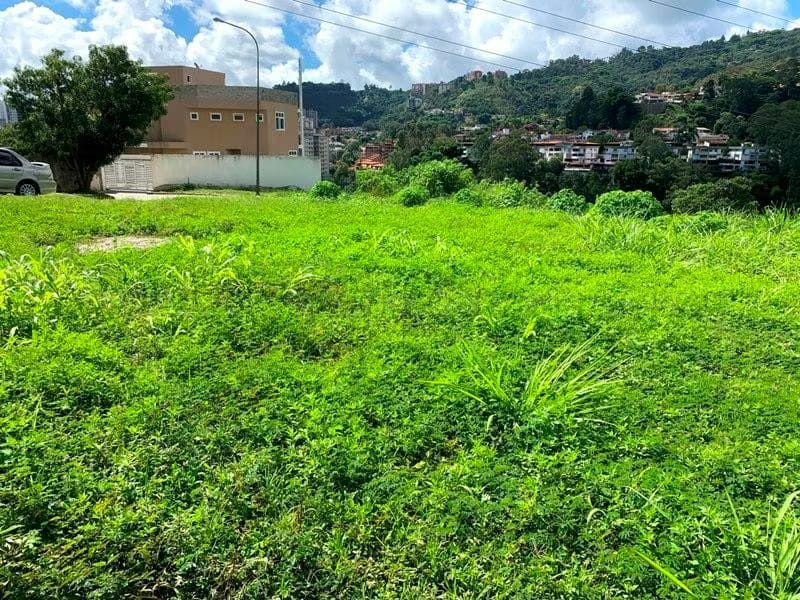 Terreno (Comercial) en Venta en La Escondida, Distrito Metropolitano - 7