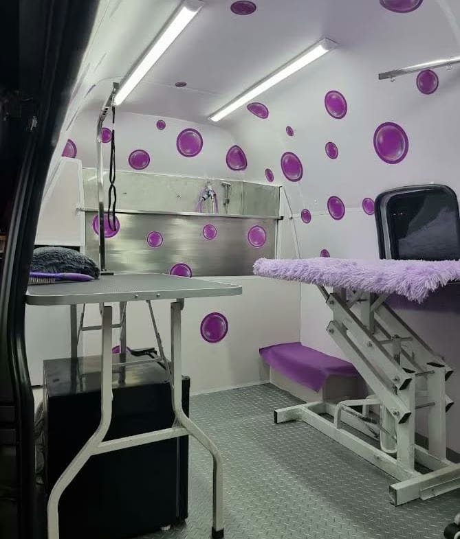 Venta Fondo de Comercio Serv. Peluquería Mascotas - 2