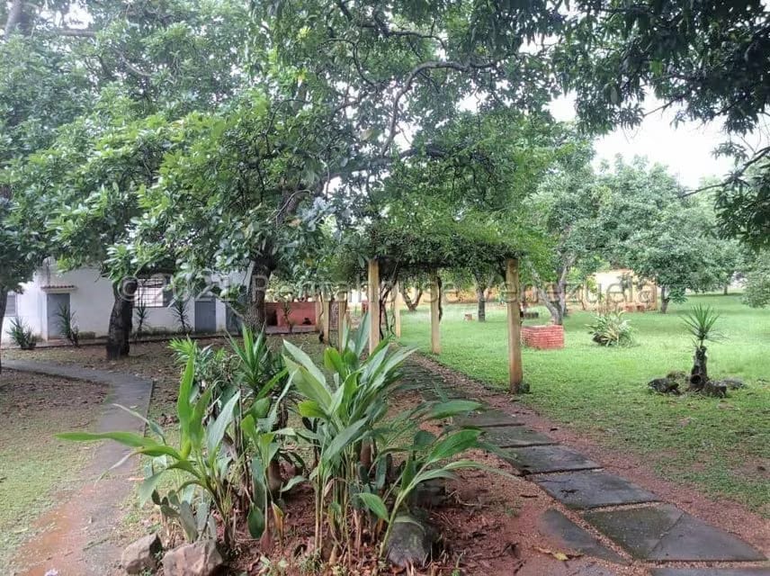 Terreno (Finca) en Venta en Tinaquillo, Cojedes - 60