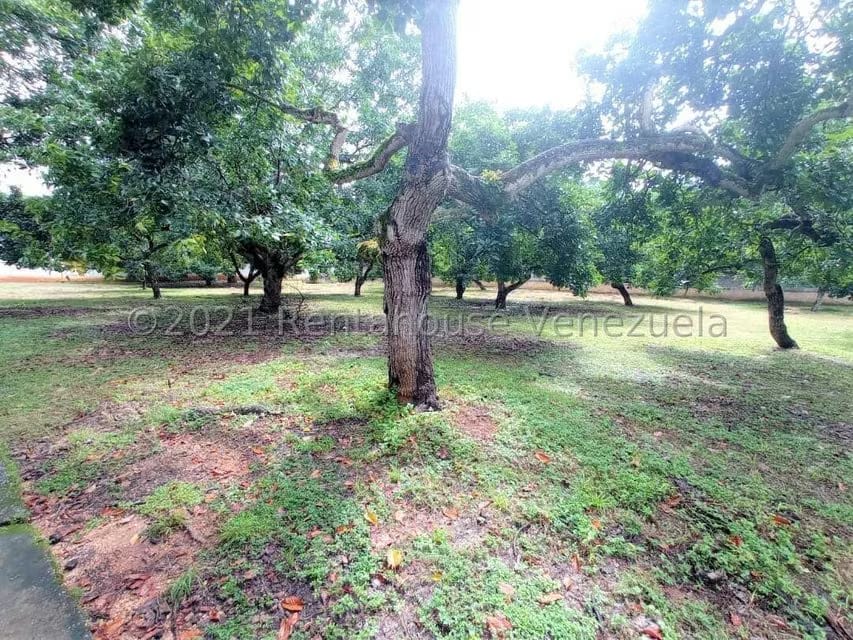 Terreno (Finca) en Venta en Tinaquillo, Cojedes - 66