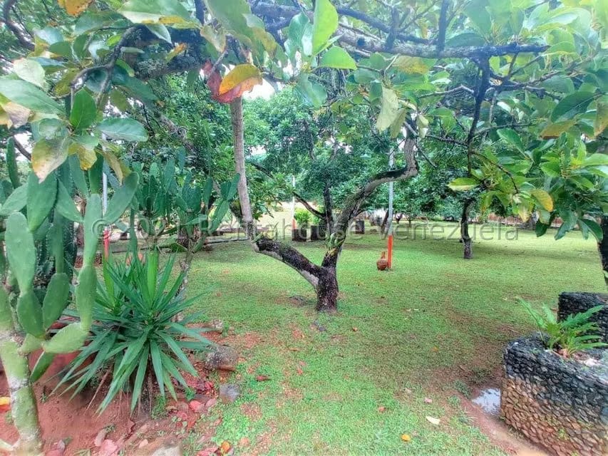 Terreno (Finca) en Venta en Tinaquillo, Cojedes - 70