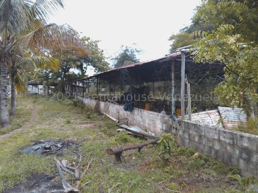 Terreno (Finca) en Venta en Tacarigua, Nueva Esparta - 11