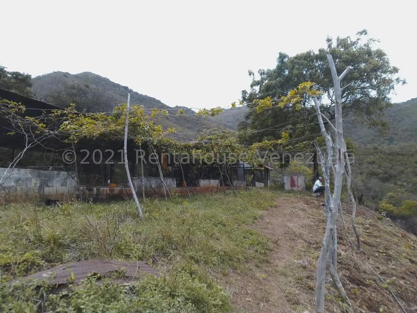 Terreno (Finca) en Venta en Tacarigua, Nueva Esparta - 20