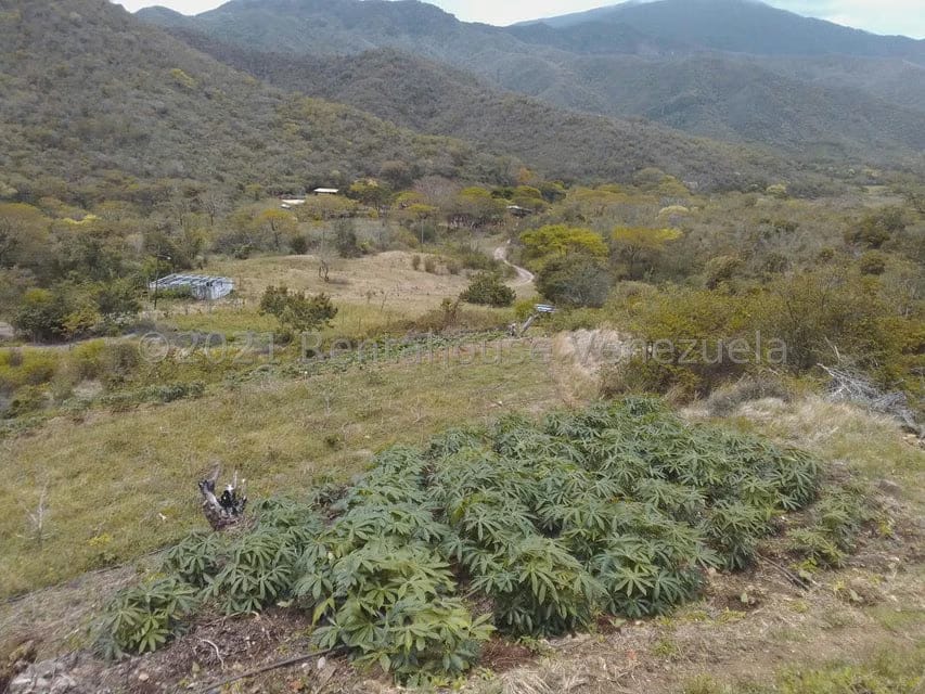 Terreno (Finca) en Venta en Tacarigua, Nueva Esparta - 4