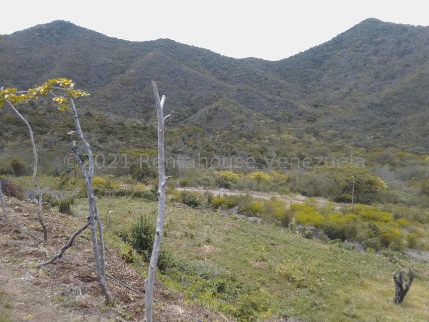 Terreno (Finca) en Venta en Tacarigua, Nueva Esparta - 5